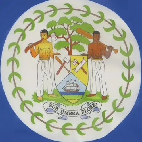 Belize NAUTICAL Flag 18'' x 12'' - Belizean flags 30 x 45 cm. - Banner 12x18 in for boat - AZ FLAG - 3