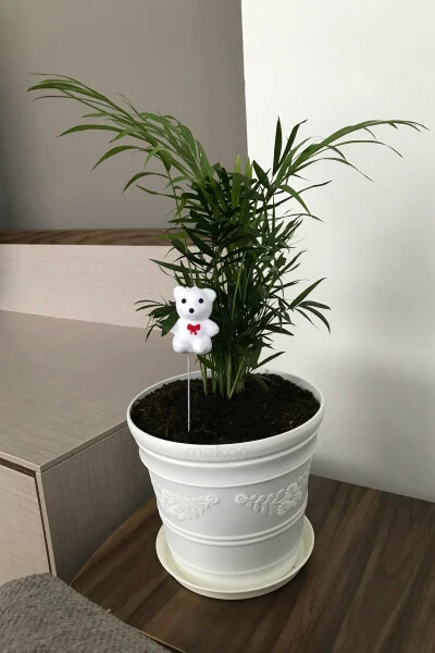 Белый горшок с античным рисунком ромашки 3 литра - MELKAN HOME (1)