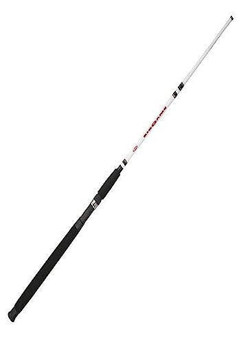 Berkley Big Game Casting Fishing Rod - 2