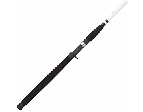 Berkley Big Game Casting Fishing Rod - 3