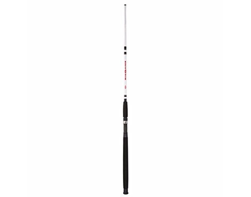 Berkley Big Game Casting Fishing Rod - 4