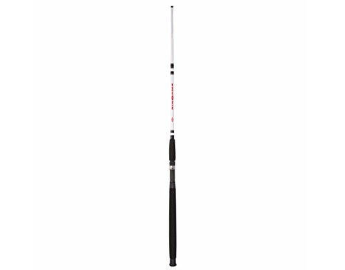 Berkley Big Game Casting Fishing Rod - 4