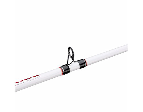 Berkley Big Game Casting Fishing Rod - 5