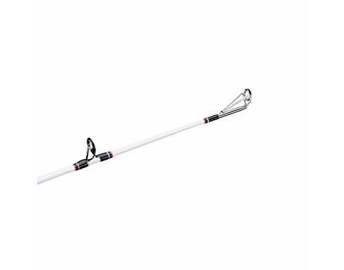 Berkley Big Game Casting Fishing Rod - 6