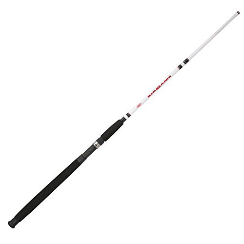 Berkley Big Game Casting Fishing Rod - 1