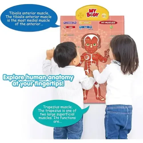 BEST LEARNING i-Poster My Body-Educational Anatomy Toy for Kids 5 to12 Years Christmas Gift 4 in 1 - 3