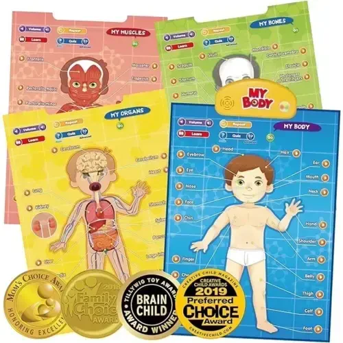 BEST LEARNING i-Poster My Body-Educational Anatomy Toy for Kids 5 to12 Years Christmas Gift 4 in 1 - 7