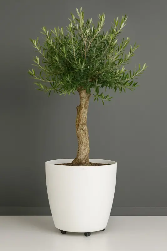 Beyaz Tekerlekli Saksı 48 Litre Büyük Saksı Geniş Hacimli Tekerlekli Saksı Beyaz 45x40 Cm-Beyaz - 1