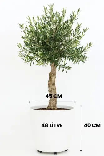 Beyaz Tekerlekli Saksı 48 Litre Büyük Saksı Geniş Hacimli Tekerlekli Saksı Beyaz 45x40 Cm-Beyaz - MELKAN HOME (1)