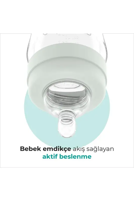 Biberon Kecha & Kunduz Va Antikolik Biberon Soʻrgʻichi No: 1/s 160 ml - 6