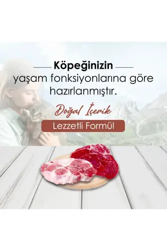 Biftekli Kattalar Uchun It Oziq-ovqat 15 Kg - 3