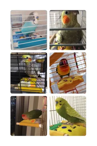 Bird Bed Soft Rest Pillow Double-Sided Sleeping Tunnel Yellow Grey Sultan Parrot Bed Perch - KUŞARKADAŞIM (1)