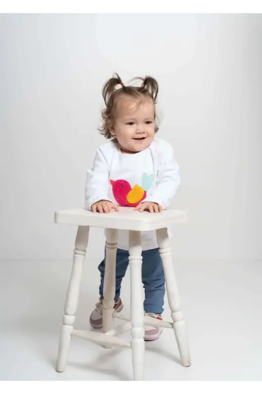 Bird Embroidered Sweater - JO&JUKE