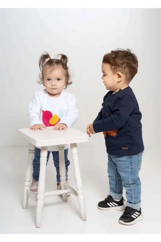 Bird Embroidered Sweater - 4