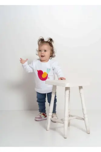 Bird Embroidered Sweater - JO&JUKE (1)