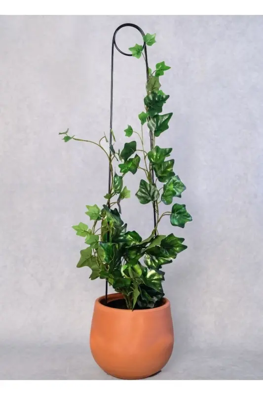 65 cm. Metal Bitki Desteği Siyah Kancalı İğne Model Sarmaşık Büyük Yapraklı Bitkiler İçin - siyah - PLOT PLANT LOVERS OF TURKEY