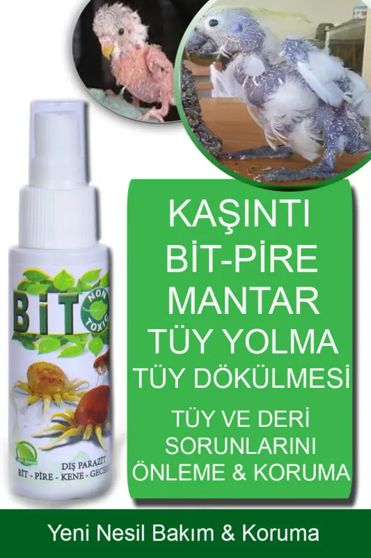 Bitox To'ti, Kanareyka, To'tiqush Yangi avlod Aniq yechim Bit, burg'a va tuklarga parvarish qilish spreyi - FORCE