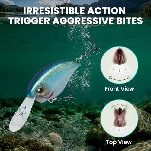 BKK İğneli TRUSCEND Easy Catch Crankbait, Levrek, Turna ve Sudak için Sığ veya Derin Dalan Suni Yem, Daha Fazla Vuruş için Benzersiz Salınım Tasarımı, Vibe Dudaksız Crankbait Tatlı Su Tuzlu Su - 4