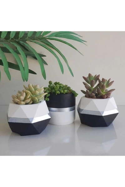 Black and White Silver Striped Planter Set - Cactus and Succulent Concrete Planter - GENEL MARKALAR