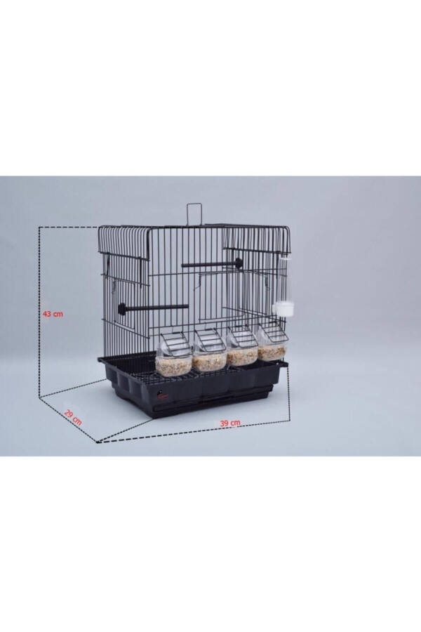 Black Canary Cage with 4 Feeders + Veil + Water Bottle + Food Dish + Cuttlebone - 4