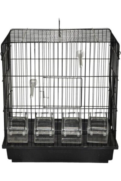 Black Canary Cage with 4 Feeders + Veil + Water Bottle + Food Dish + Cuttlebone - 1