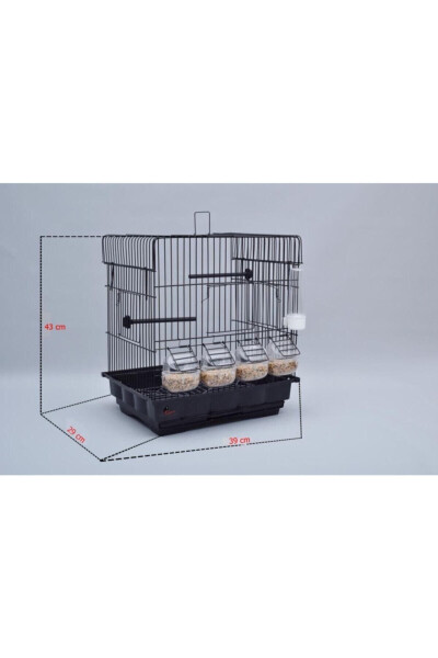 Black Canary Cage with 4 Feeders + Veil + Water Bottle + Food Dish + Cuttlebone - 2