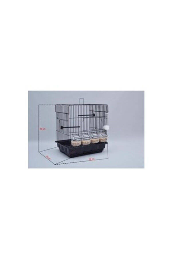 Black Canary Cage with 4 Feeders + Veil + Water Bottle + Food Dish + Cuttlebone - 2