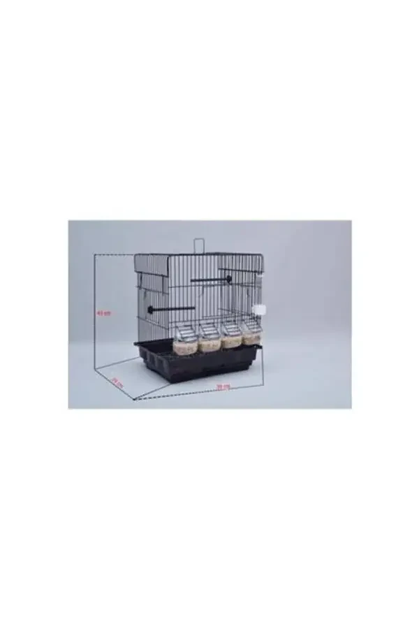 Black Canary Cage with 4 Feeders + Veil + Water Bottle + Food Dish + Cuttlebone - 2