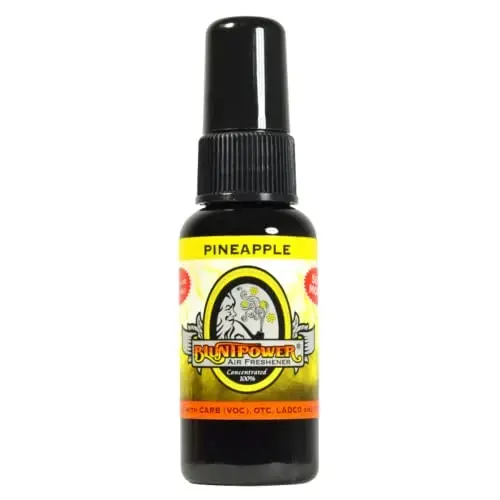 BluntPower (Ananas, 1 dona) Xona va mashina purkagichi uchun konsentrlangan havo tozalagichi - Yog' asosidagi diffuzor purkagich shishasi - Uzoq muddatli hammom purkagichi, mashina tozalagichi va hidni yo'qotuvchi purkagich - BLUNTPOWER