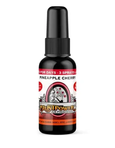 BluntPower (Ananas gilosi, 1 dona) Xona va mashina uchun konsentrlangan havo tozalagichi spreyi - Yog' asosidagi diffuzor spreyi shishasi - Uzoq muddatli hammom spreyi, mashina uchun havo tozalagichi va hid yo'qotuvchi sprey - BLUNTPOWER