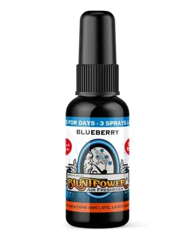 BluntPower (Blueberry, 1 Pack) Xona va mashina uchun konsentrlangan havo tozalagichi spreyi - Yog' asosidagi diffuzor spreyi shishasi - Uzoq muddatli hammom spreyi, avtomobil havo tozalagichi va hidni yo'qotuvchi sprey - 1