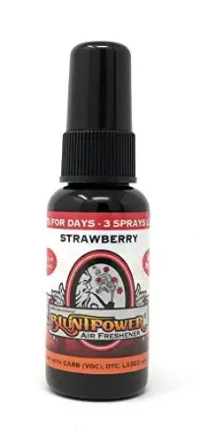 BluntPower (Strawberry, 1 Pack) Concentrated Air Freshener for Room and Car Spray - Oil-Based Diffuser Spray Bottle - Long-Lasting Bathroom Spray, Car Freshener, & Odor Eliminator Spray - 1