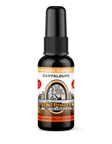 BluntPower (Cantaloupe, 1 Pack) Concentrated Air Freshener for Room and Car Spray - Oil-Based Diffuser Spray Bottle - Long-Lasting Bathroom Spray, Car Freshener, & Odor Eliminator Spray - 1