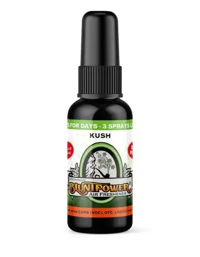 BluntPower (Kush, 1 Pack) Concentrated Air Freshener for Room and Car Spray - Oil-Based Diffuser Spray Bottle - Long-Lasting Bathroom Spray, Car Freshener, & Odor Eliminator Spray - BLUNT POWER