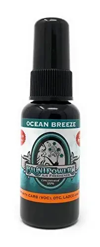 BluntPower (Ocean Breeze, 1 Pack) Concentrated Air Freshener for Room and Car Spray - Oil-Based Diffuser Spray Bottle - Long-Lasting Bathroom Spray, Car Freshener, & Odor Eliminator Spray 