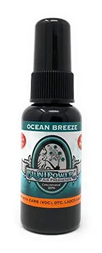 BluntPower (Ocean Breeze, 1 Pack) Concentrated Air Freshener for Room and Car Spray - Oil-Based Diffuser Spray Bottle - Long-Lasting Bathroom Spray, Car Freshener, & Odor Eliminator Spray - 1