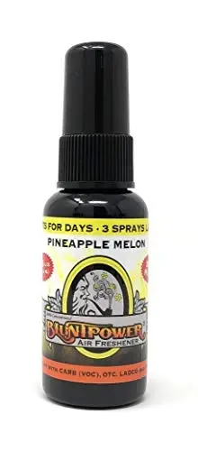 BluntPower (Pineapple Melon, 1 Pack) Concentrated Air Freshener for Room and Car Spray - Oil-Based Diffuser Spray Bottle - Long-Lasting Bathroom Spray, Car Freshener, & Odor Eliminator Spray - 1