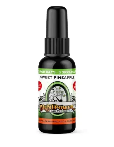 BluntPower (Sweet Pineapple, 1 Pack) Concentrated Air Freshener for Room and Car Spray - Oil-Based Diffuser Spray Bottle - Long-Lasting Bathroom Spray, Car Freshener, & Odor Eliminator Spray 