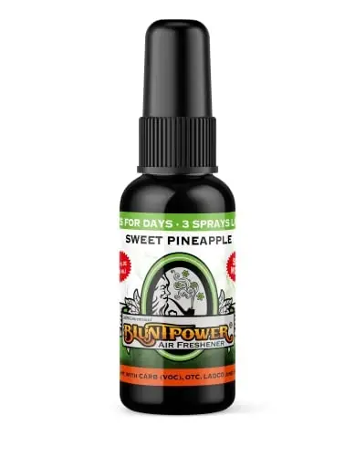 BluntPower (Sweet Pineapple, 1 Pack) Xona va mashina uchun konsentrlangan havo tozalagichi spreyi - Yog' asosidagi diffuzor spreyi shishasi - Uzoq muddatli hammom spreyi, mashina uchun havo tozalagichi va hid yo'qotuvchi spreyi 