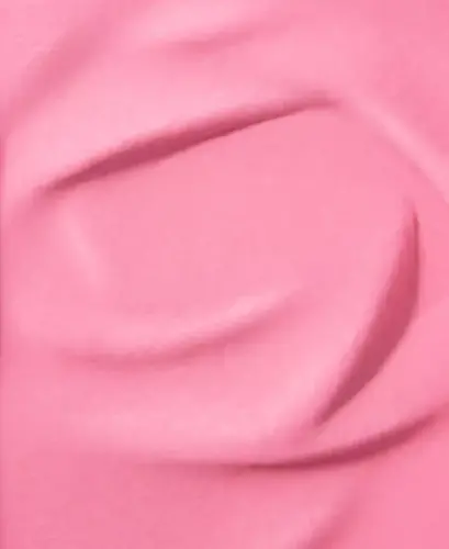 Blush Subtil Powder Blush-NEW! 500 PINK OH LA LA - 2