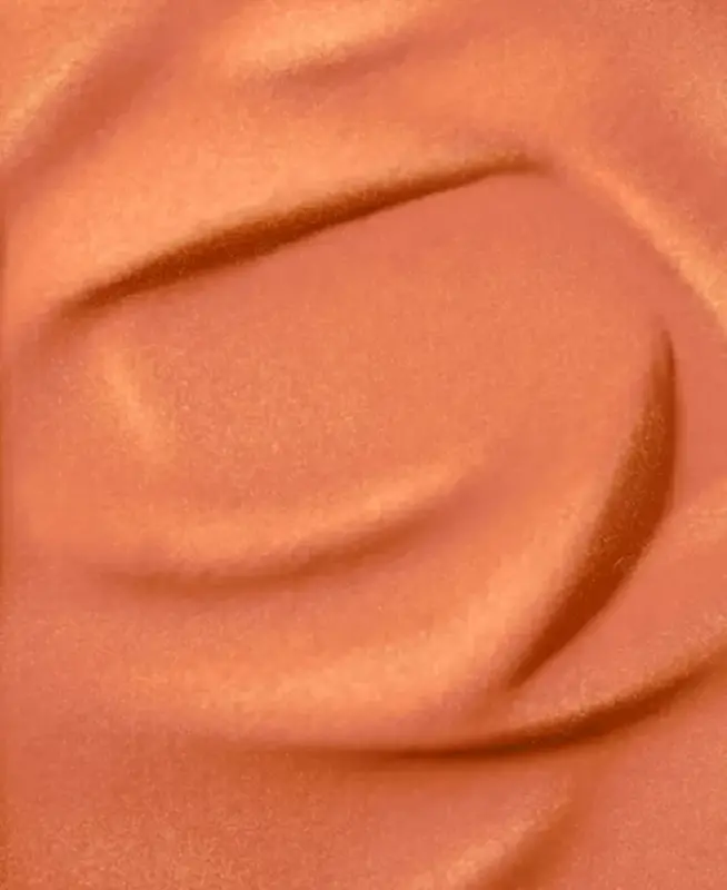 Blush Subtil Powder Blush-NEW! 800 ORANGE PHORIA - 2