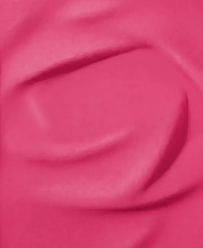 Blush Subtil Powder Blush - NEW! 600 I DON'T GIVE A FUSHIA - 2