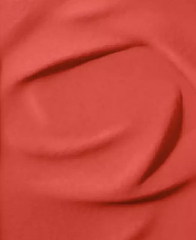 Blush Subtil Powder Blush - NEW! 900 ROUGE FOLIE - 2