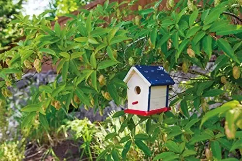 Beetle & Bee Paint A Bird Base, Backyard Birdhouse Kit, Bird House Painting Kit for Kids, DIY Arts & Crafts Gardening For Kids & Teens, Boys & Girls - 3