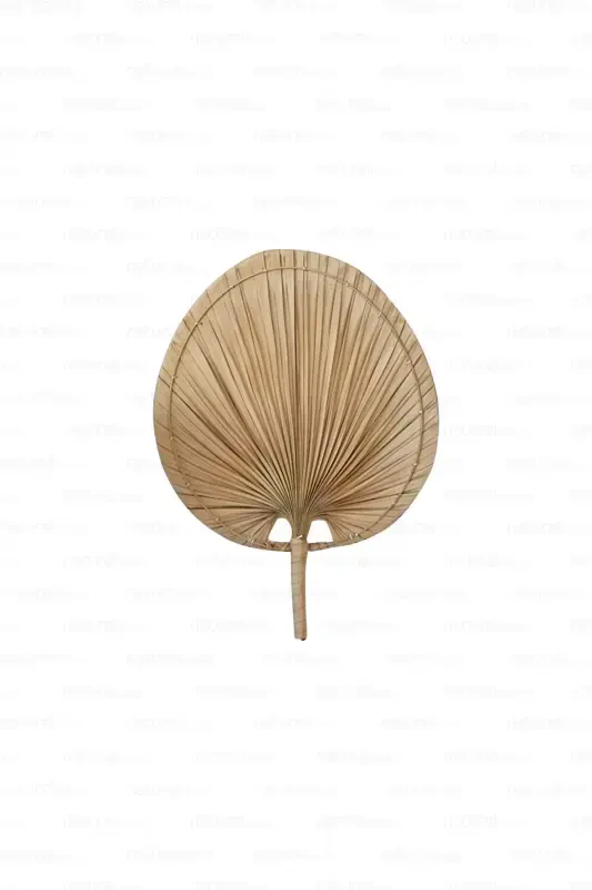 Bohemian Palm Leaf, Japanese Fan 30x40 Cm, Wall Decoration, Wall Ornament, Scandinavian, Modern - NATUREL HOME