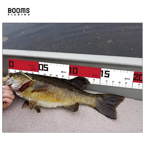 Booms Fishing TK1U 4шт Набор инструментов для рыбалки, Кусачки для рыбалки с иглообразным носом Соленая вода, Зажим для губ рыбы, Рыболовные ножницы с убирающимся лезвием, Клеевая линейка для рыбы, Аксессуары для зимней рыбалки - 5