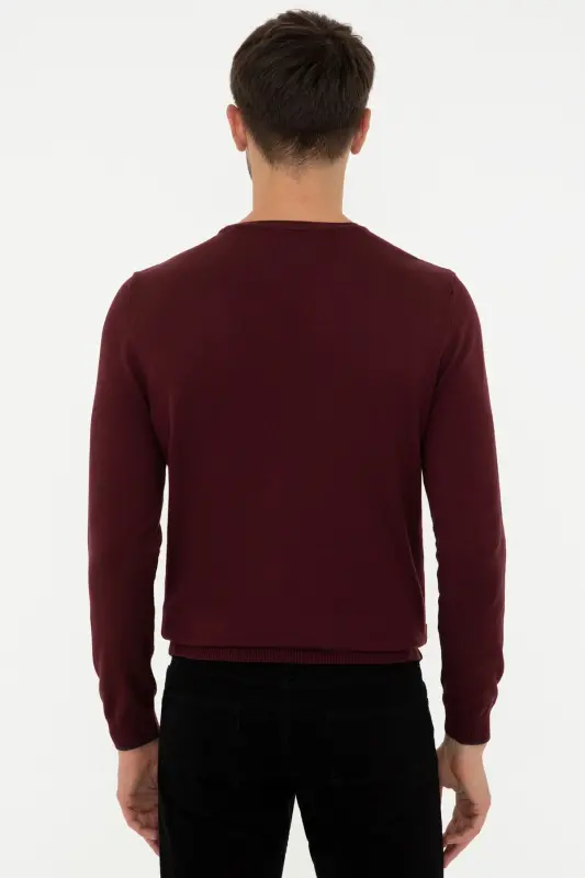 Bordo erkaklar sviteri G021SZ0TK.000.1389957 - VR014 - 4