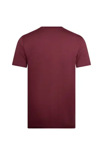 Bordo Regular Fit Bisiklet Yaka Pamuklu Basic Tişört - Bordo - Hatemoğlu (1)