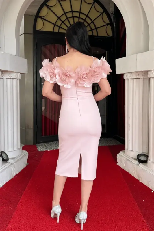 Bottom Satin Fabric Top Organza Fabric Rose Detailed Pencil Dress - POWDER - 5