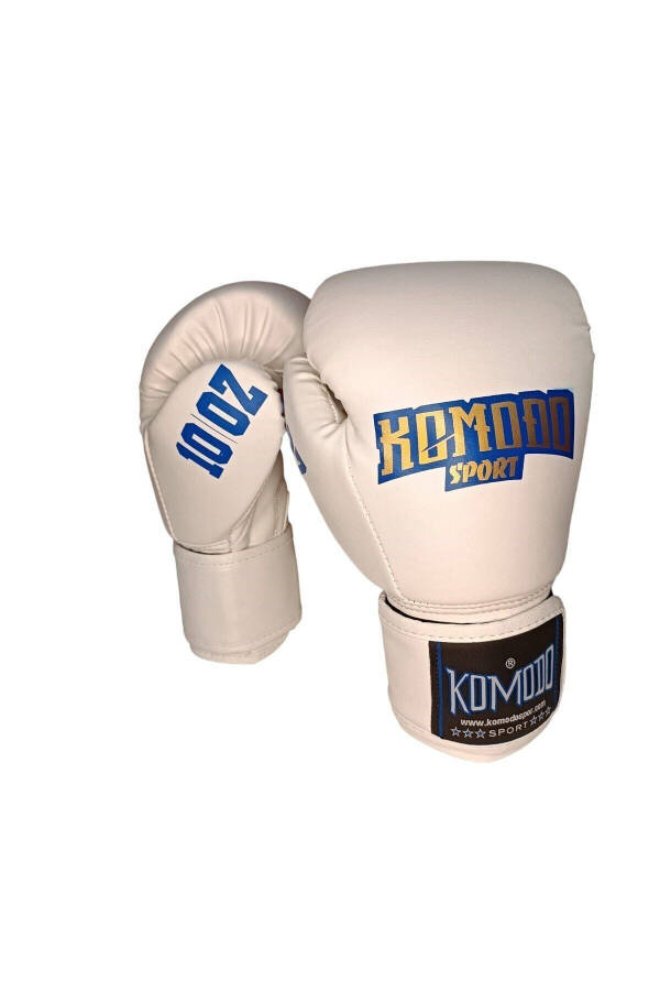 Boxing Gloves KSB 203 - 1